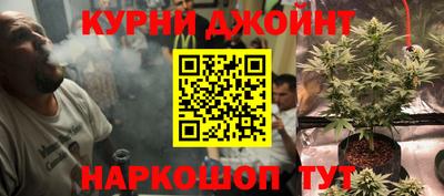 шишки Иваново