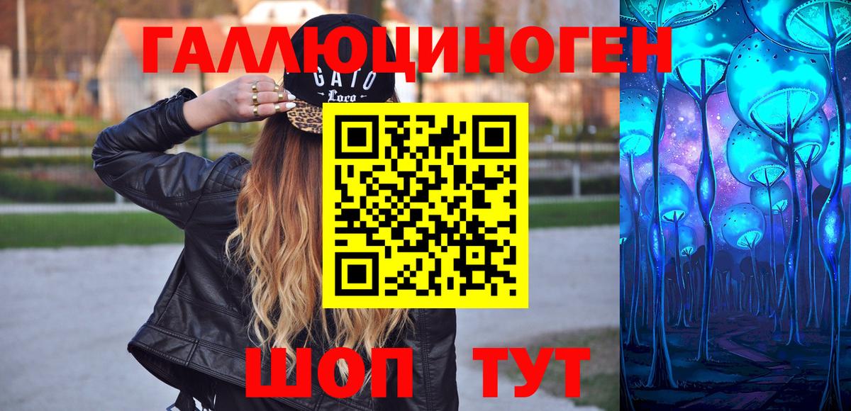 Галлюциногенные грибы Psilocybe Горячий Ключ